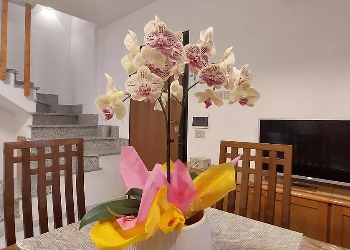 Sweet Simona بيت للعطل زامبروني