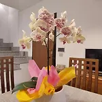 Sweet Simona بيت للعطل زامبروني