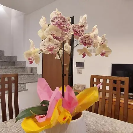 Sweet Simona Holiday home Zambrone